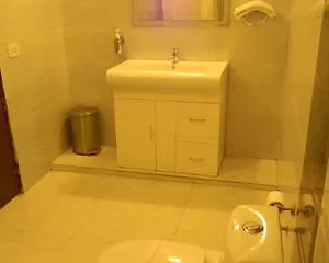 Hotel Shyama International, New Delhi